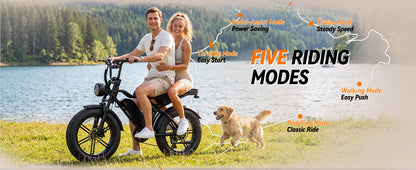 Jasion Electric Bike, Fat Tire 48V 15Ah Removable Battery, 5 Riding  Modes & 7-Speed Ebike, Full Suspension, IPX6, for Commuters, Beaches, Weekends