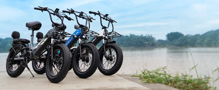 Cybervelo EK8 / EK12 Step-Through Electric Bike – 48V 20Ah