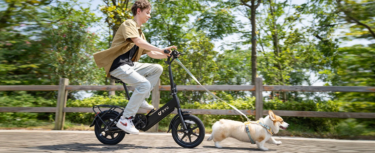 DYU C3 Mini Folding Electric Bike – 14-Inch, 36V Battery
