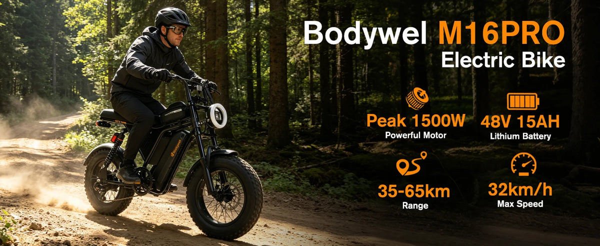 Bodywel M16 Pro Fat-Tire Electric Bike – 48V 15.6Ah Battery