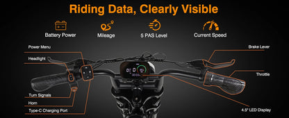 Bodywel M16 Pro Fat-Tire Electric Bike – 48V 15.6Ah Battery